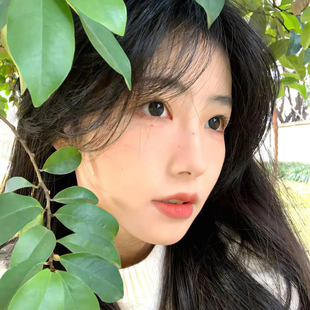 合租男女 封面